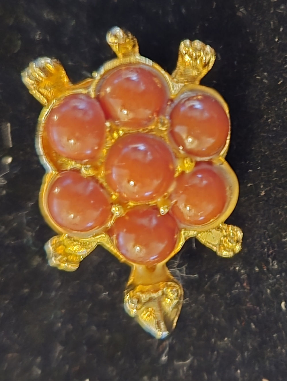 Gold-Tone Turtle Brooch with Coral Red Bead Shell